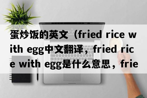蛋炒飯的英文（fried rice with egg中文翻譯，fried rice with egg是什么意思，fried rice with egg發(fā)音、用法及例句）