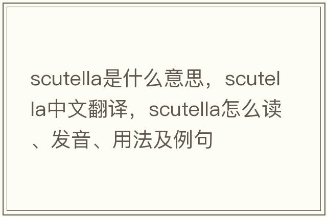 scutella是什么意思，scutella中文翻譯，scutella怎么讀、發(fā)音、用法及例句