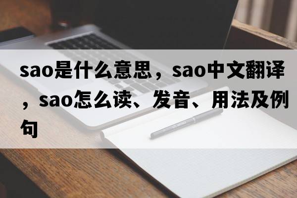 SAO是什么意思，SAO中文翻譯，SAO怎么讀、發(fā)音、用法及例句