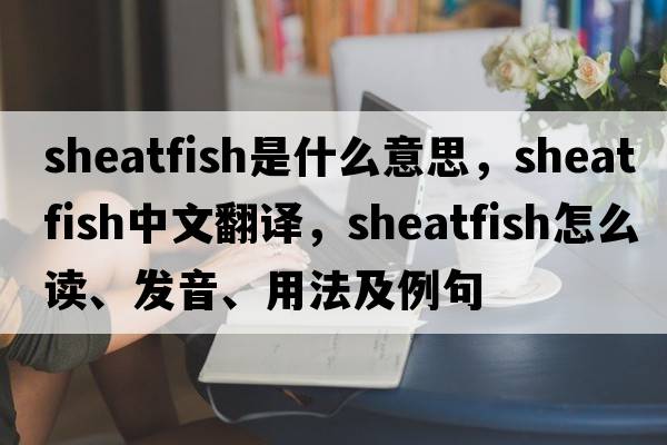 sheatfish是什么意思，sheatfish中文翻譯，sheatfish怎么讀、發(fā)音、用法及例句
