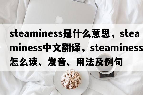 steaminess是什么意思，steaminess中文翻譯，steaminess怎么讀、發(fā)音、用法及例句