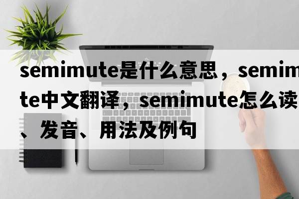 semimute是什么意思，semimute中文翻譯，semimute怎么讀、發(fā)音、用法及例句
