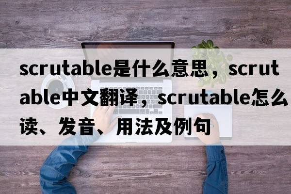 scrutable是什么意思，scrutable中文翻譯，scrutable怎么讀、發(fā)音、用法及例句