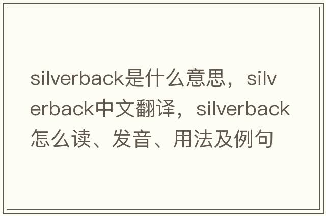 silverback是什么意思，silverback中文翻譯，silverback怎么讀、發(fā)音、用法及例句