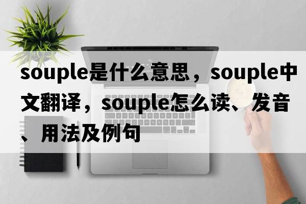 souple是什么意思，souple中文翻譯，souple怎么讀、發(fā)音、用法及例句