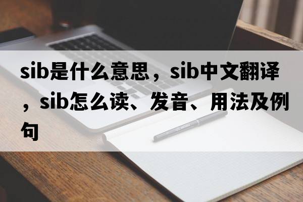 sib是什么意思，sib中文翻譯，sib怎么讀、發(fā)音、用法及例句