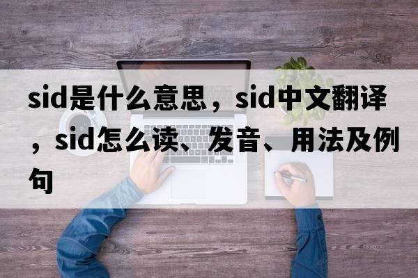 sid是什么意思，sid中文翻譯，sid怎么讀、發(fā)音、用法及例句