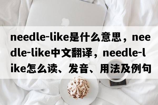 needle-like是什么意思，needle-like中文翻譯，needle-like怎么讀、發(fā)音、用法及例句