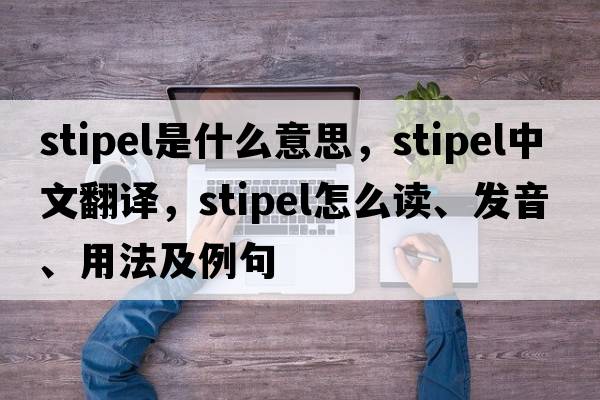 stipel是什么意思，stipel中文翻譯，stipel怎么讀、發(fā)音、用法及例句