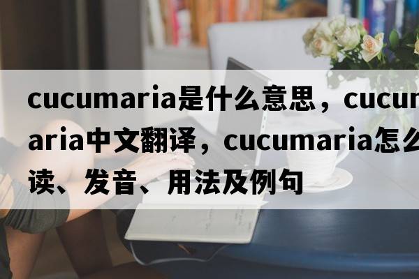 cucumaria是什么意思，cucumaria中文翻譯，cucumaria怎么讀、發(fā)音、用法及例句