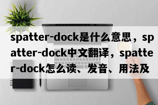 spatter-dock是什么意思，spatter-dock中文翻譯，spatter-dock怎么讀、發(fā)音、用法及例句