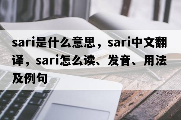 sari是什么意思，sari中文翻譯，sari怎么讀、發(fā)音、用法及例句