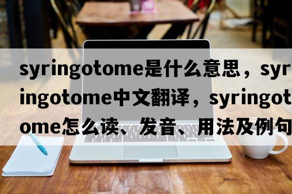 syringotome是什么意思，syringotome中文翻譯，syringotome怎么讀、發(fā)音、用法及例句