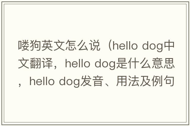 嘍狗英文怎么說（hello dog中文翻譯，hello dog是什么意思，hello dog發(fā)音、用法及例句）