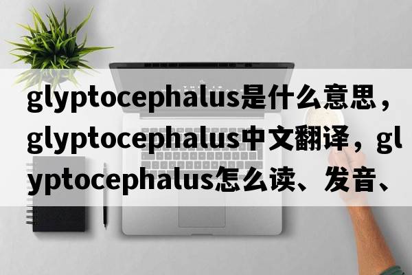 Glyptocephalus是什么意思，Glyptocephalus中文翻譯，Glyptocephalus怎么讀、發(fā)音、用法及例句