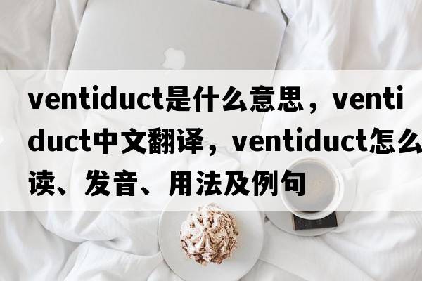 ventiduct是什么意思，ventiduct中文翻譯，ventiduct怎么讀、發(fā)音、用法及例句
