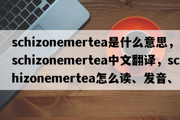 schizonemertea是什么意思，schizonemertea中文翻譯，schizonemertea怎么讀、發(fā)音、用法及例句