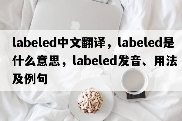 labeled中文翻譯，labeled是什么意思，labeled發(fā)音、用法及例句