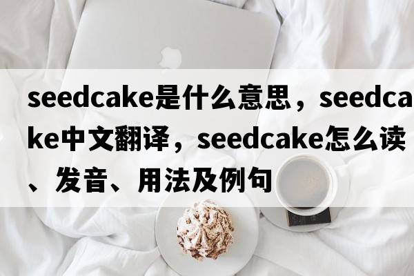 seedcake是什么意思，seedcake中文翻譯，seedcake怎么讀、發(fā)音、用法及例句