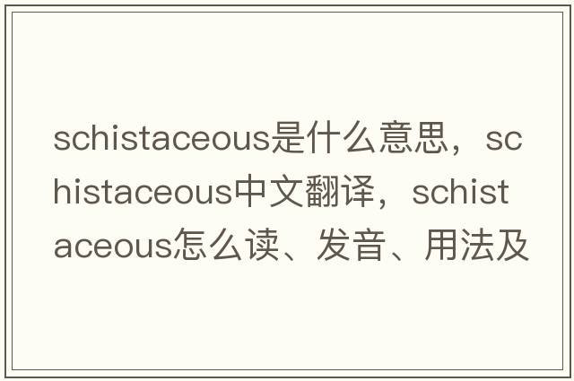 schistaceous是什么意思，schistaceous中文翻譯，schistaceous怎么讀、發(fā)音、用法及例句