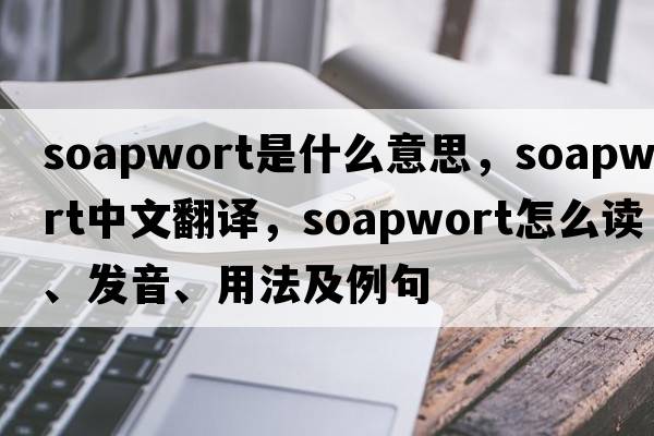 soapwort是什么意思，soapwort中文翻譯，soapwort怎么讀、發(fā)音、用法及例句