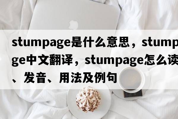 stumpage是什么意思，stumpage中文翻譯，stumpage怎么讀、發(fā)音、用法及例句