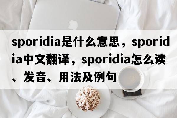 sporidia是什么意思，sporidia中文翻譯，sporidia怎么讀、發(fā)音、用法及例句