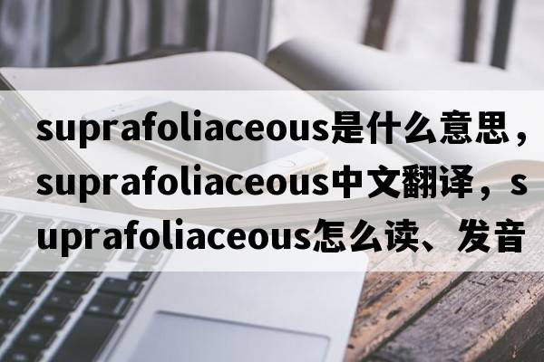 suprafoliaceous是什么意思，suprafoliaceous中文翻譯，suprafoliaceous怎么讀、發(fā)音、用法及例句