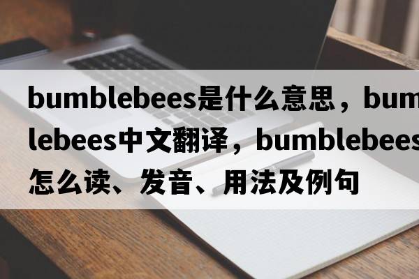 bumblebees是什么意思，bumblebees中文翻譯，bumblebees怎么讀、發(fā)音、用法及例句