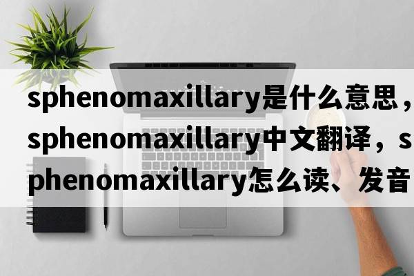 sphenomaxillary是什么意思，sphenomaxillary中文翻譯，sphenomaxillary怎么讀、發(fā)音、用法及例句