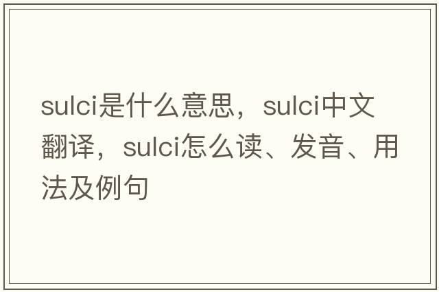 sulci是什么意思，sulci中文翻譯，sulci怎么讀、發(fā)音、用法及例句