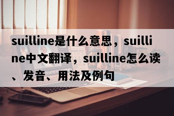 suilline是什么意思，suilline中文翻譯，suilline怎么讀、發(fā)音、用法及例句