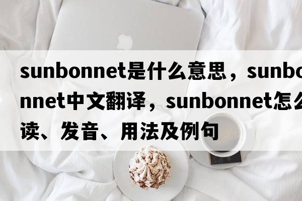 sunbonnet是什么意思，sunbonnet中文翻譯，sunbonnet怎么讀、發(fā)音、用法及例句
