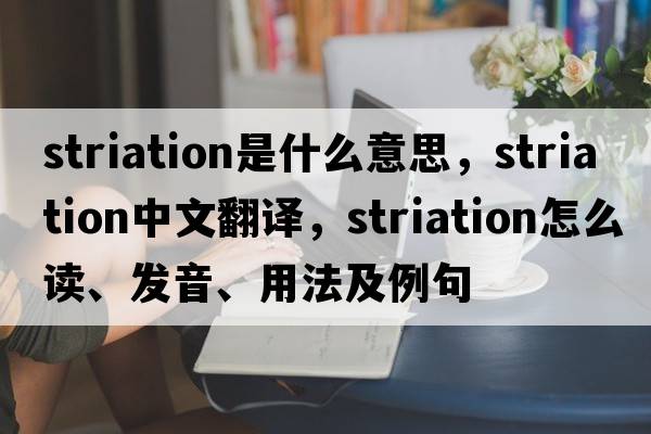 striation是什么意思，striation中文翻譯，striation怎么讀、發(fā)音、用法及例句