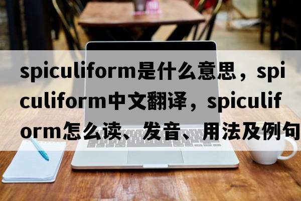 spiculiform是什么意思，spiculiform中文翻譯，spiculiform怎么讀、發(fā)音、用法及例句