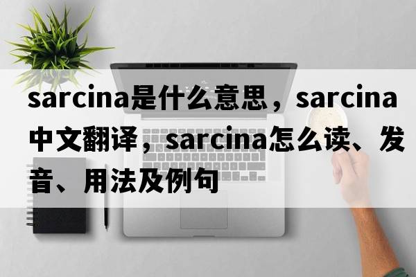 sarcina是什么意思，sarcina中文翻譯，sarcina怎么讀、發(fā)音、用法及例句