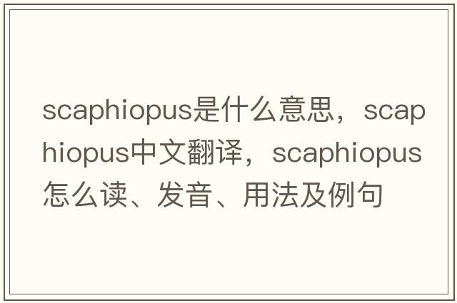 Scaphiopus是什么意思，Scaphiopus中文翻譯，Scaphiopus怎么讀、發(fā)音、用法及例句
