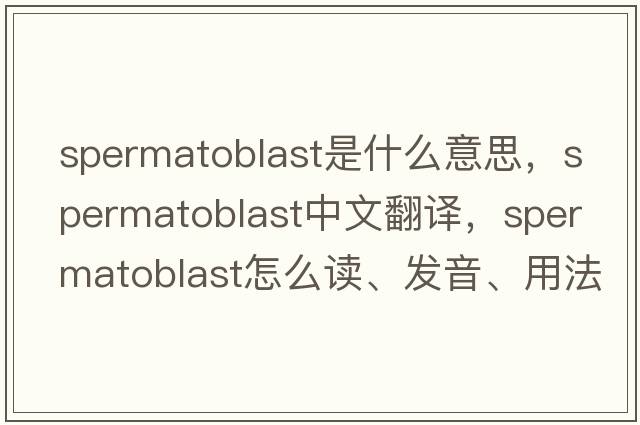 spermatoblast是什么意思，spermatoblast中文翻譯，spermatoblast怎么讀、發(fā)音、用法及例句