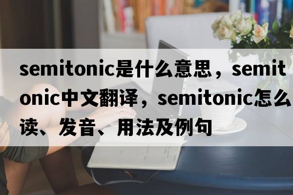 semitonic是什么意思，semitonic中文翻譯，semitonic怎么讀、發(fā)音、用法及例句