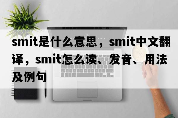 smit是什么意思，smit中文翻譯，smit怎么讀、發(fā)音、用法及例句