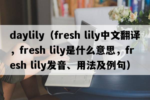 daylily（fresh lily中文翻譯，fresh lily是什么意思，fresh lily發(fā)音、用法及例句）