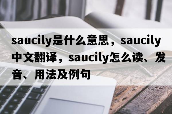 saucily是什么意思，saucily中文翻譯，saucily怎么讀、發(fā)音、用法及例句