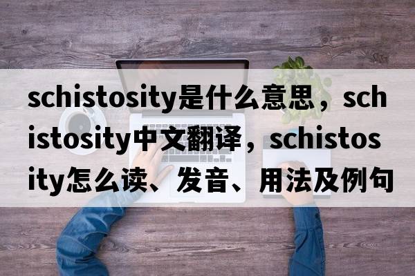 schistosity是什么意思，schistosity中文翻譯，schistosity怎么讀、發(fā)音、用法及例句