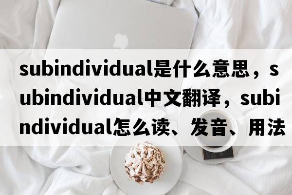 subindividual是什么意思，subindividual中文翻譯，subindividual怎么讀、發(fā)音、用法及例句