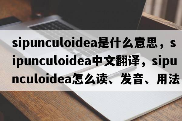 Sipunculoidea是什么意思，Sipunculoidea中文翻譯，Sipunculoidea怎么讀、發(fā)音、用法及例句