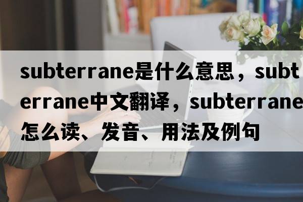 subterrane是什么意思，subterrane中文翻譯，subterrane怎么讀、發(fā)音、用法及例句