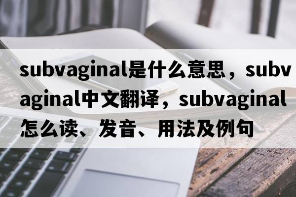 subvaginal是什么意思，subvaginal中文翻譯，subvaginal怎么讀、發(fā)音、用法及例句