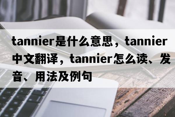 tannier是什么意思，tannier中文翻譯，tannier怎么讀、發(fā)音、用法及例句
