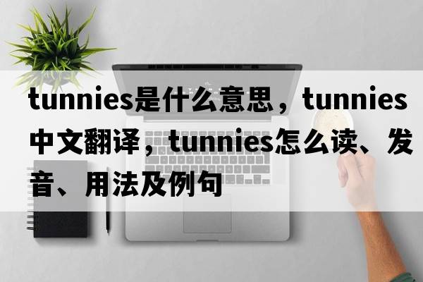 tunnies是什么意思，tunnies中文翻譯，tunnies怎么讀、發(fā)音、用法及例句