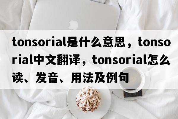 tonsorial是什么意思，tonsorial中文翻譯，tonsorial怎么讀、發(fā)音、用法及例句